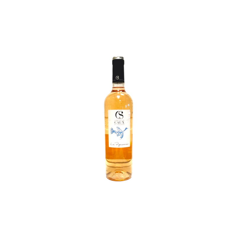 Rosé de Carcassonne La pigeonnier IGP 2021
