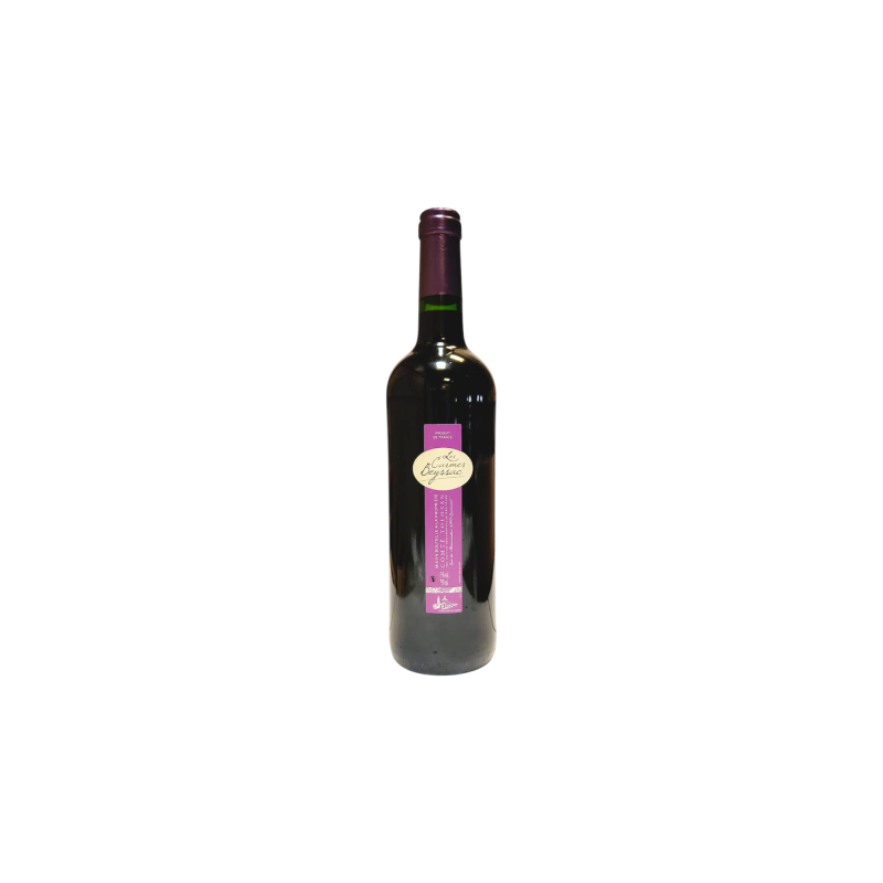 Les Carmes Beyssac – IGP Comté Tolosan – 75cl 2020