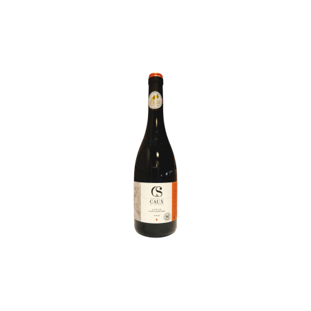 Vin rouge Domaine de Caux et Sauzens 2019 – 750 ml, 13% vol, Médaille de bronze Paris 2020
